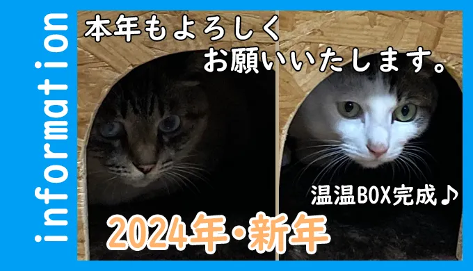 2024年・新年のご挨拶。猫用の温温BOXが完成しました。