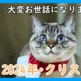 大変お世話になりました。2024年クリスマス・トライクルハウス