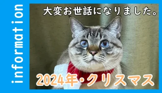 2024年12月　今年も大変お世話になりました。　猫サンタ！