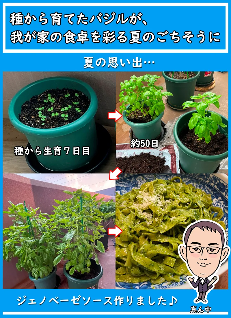 種から育てたバジルの成長と、ジェノベーゼソースの料理のアイキャッチ