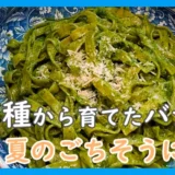 種から育てたバジルが、我が家の食卓を彩る夏のごちそうに。2026年の食育ブログic