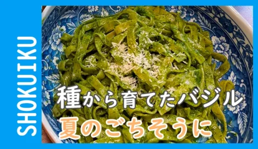 種から育てたバジルが、我が家の食卓を彩る夏のごちそうに。2026年の食育ブログ