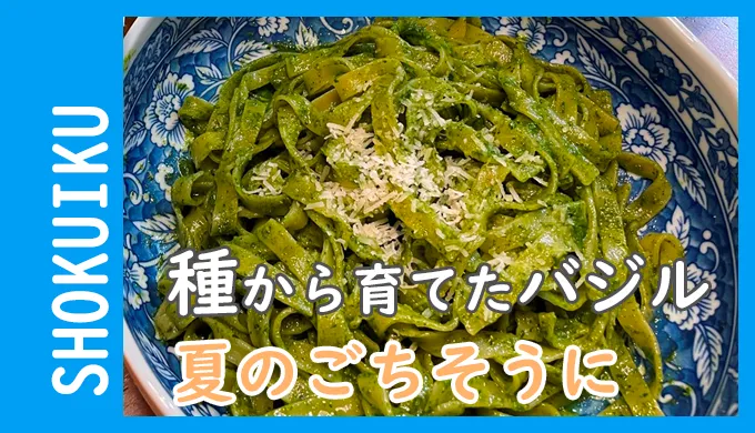 種から育てたバジルが、我が家の食卓を彩る夏のごちそうに。2026年の食育ブログic